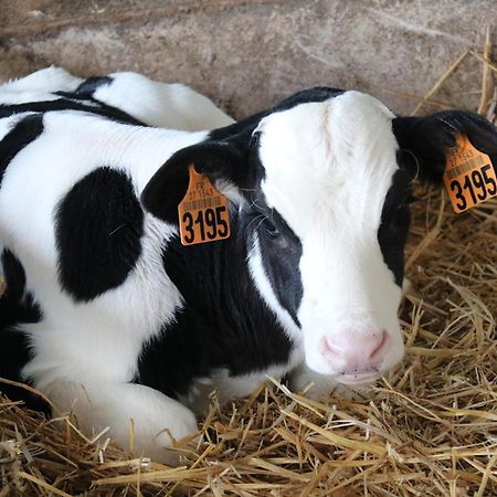 Le Thuit - F2 Plain Pied Tout Equipe A La Ferme Charleval  Экстерьер фото