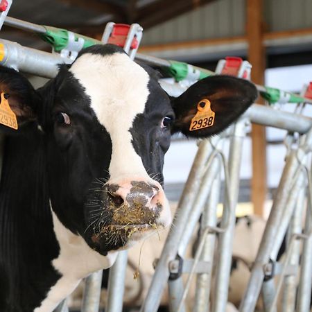 Le Thuit - F2 Plain Pied Tout Equipe A La Ferme Charleval  Экстерьер фото
