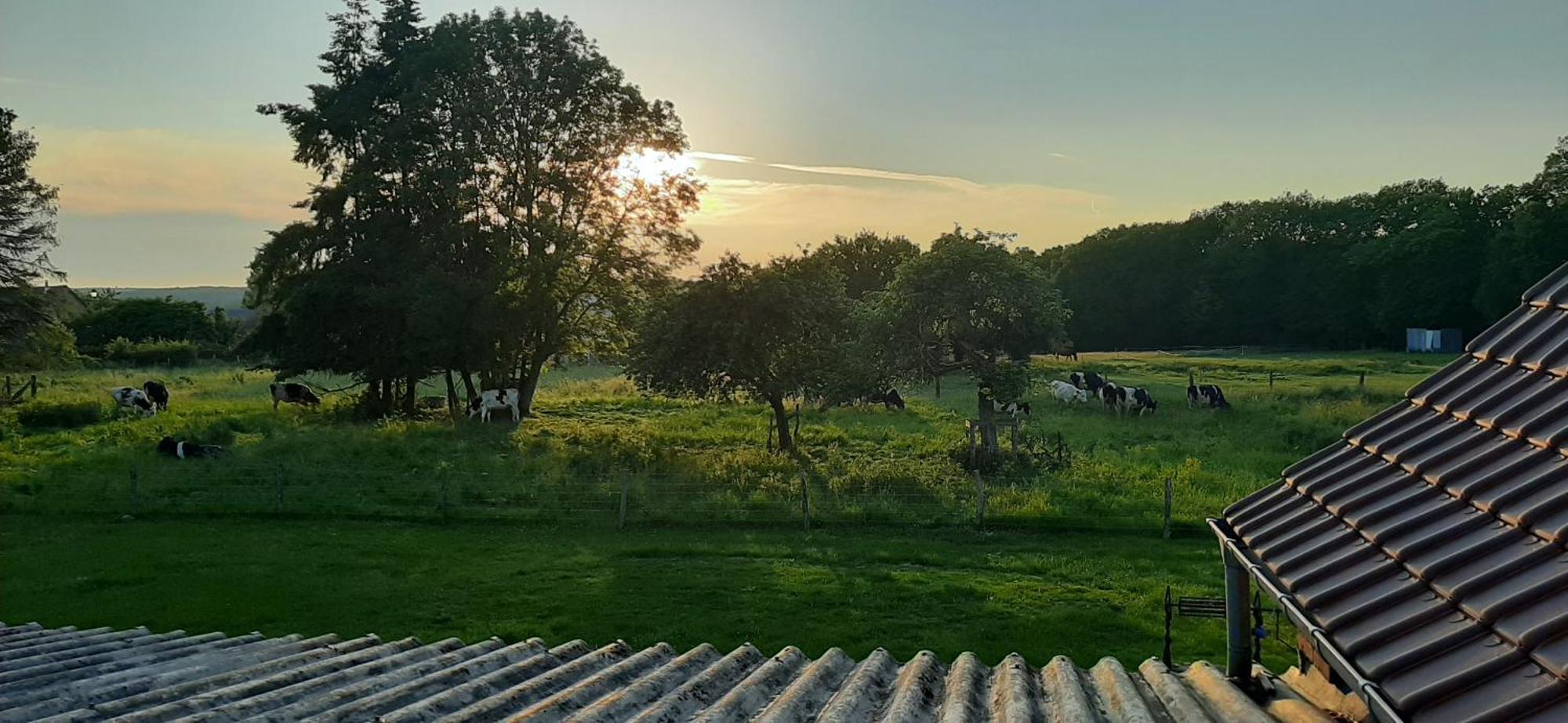 Le Thuit - F2 Plain Pied Tout Equipe A La Ferme Charleval  Экстерьер фото